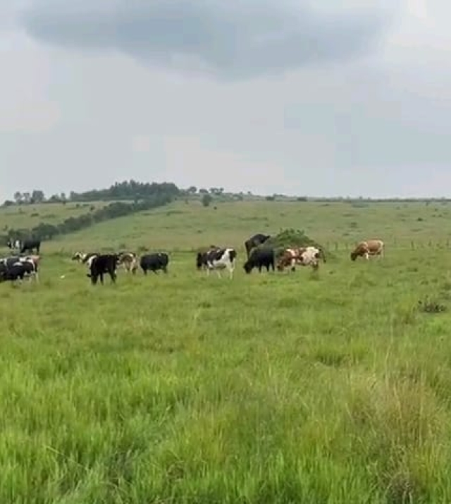 WhatsApp Image 2024-06-25 at 1.32.42 PM.jpeg